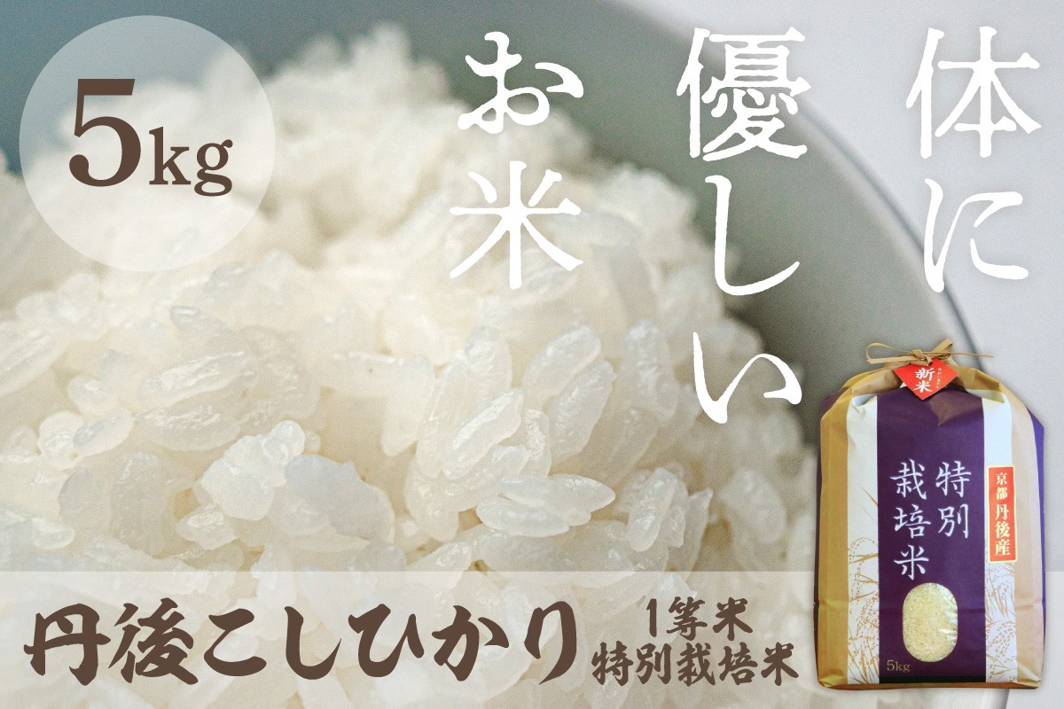 
                  令和8年産 丹後こしひかり 特別栽培米 5kg　白米 お弁当 おにぎり 京都産 京丹後 コシヒカリ ブランド米 久美浜 生産者応援 農家応援 送料無料　MU00092
                