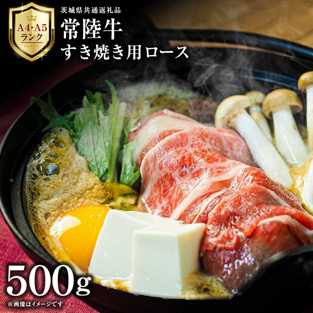【ふるさと納税】【 常陸牛 】 すき焼き用 ロース 500g 茨城県共通返礼品 化粧箱入り A4 A5 ブランド牛 国産 牛肉 肉 お肉 黒毛和牛 和牛 ギフト 贈答