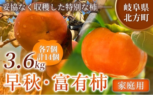 【全2回 定期便】旬柿 リレー便 家庭用 早秋 富有柿 ( 各7個 / 1.8kg )|【人気の銘柿を贅沢に食べ比べ！】 柿 フルーツ 果物 完熟 国産 季節の果物 家庭用 自宅用 加工用 料理用 大容量 岐阜県 本巣郡 北方町