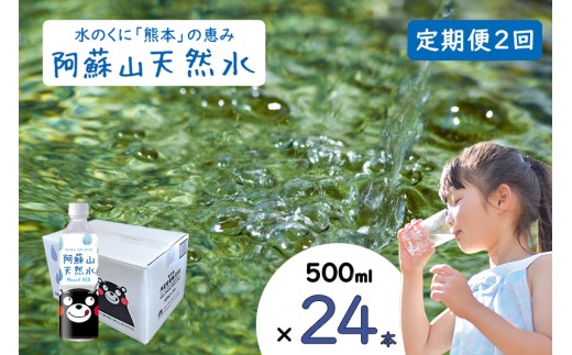 【ふるくま】定期便 2回 阿蘇山 天然水 500ml × 24本 1ケース  熊本 阿蘇 水 みず 飲料 くまモンラベル 熊本県 ミネラルウォーター 非加熱殺菌 賞味期限2年 730日 備蓄 保存用