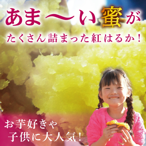 【2026年12月より発送】焼き芋好きのための黄金色で蜜たっぷりサツマイモ 紅はるか 約5kg｜さつまいも サツマイモ お芋 紅はるか 蜜 やきいも 焼き芋 ヤキイモ 茨城県 行方市(BI-71)