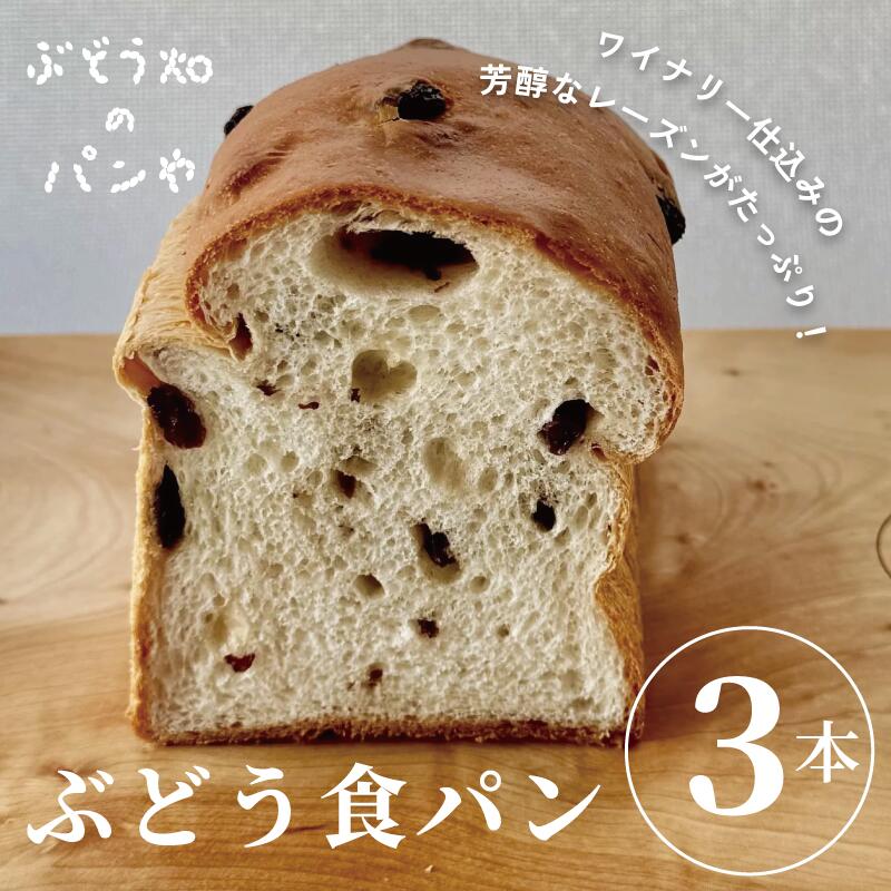 【ふるさと納税】ぶどう食パン 3本