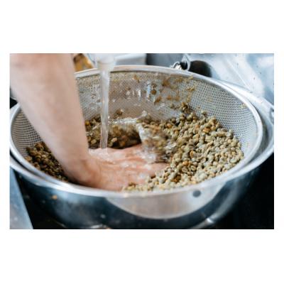 ふるさと納税 鳥取市 店主オススメのコーヒー豆 2種類セット |  | 02