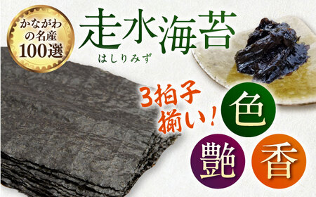 定期便 隔月 3回 ごま塩味付け海苔 八ツ切80枚×2袋（全形20枚分） 訳あり ギフト対応不可 18000円 漁師直送 上等級 焼海苔 走水海苔 焼きのり 塩のり ノリ ごま油 人気 手巻き おにぎ