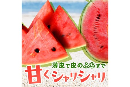 【先行予約／数量限定50】にしまるスイカ 2玉入り（2024年6月下旬から発送）