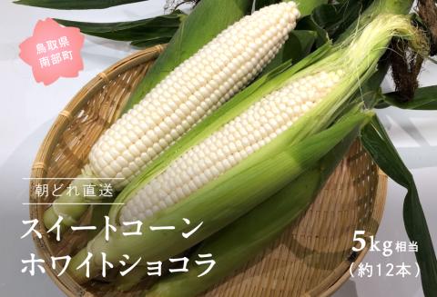 南部町産 朝採れスイートコーン（ホワイト種ホワイトショコラ）5kg箱 2026年収穫分＜数量限定＞