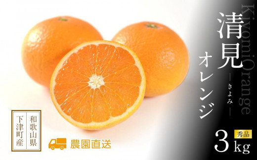 清見オレンジ 赤秀 3kg 和歌山県海南市まごころ産直みかんより直送 ｜きよみ 清見 清美 オレンジ 和歌山県 海南市産 完熟 サイズお任せ