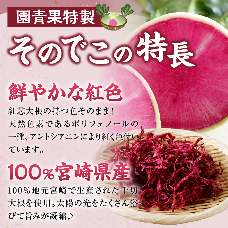 ≪宮崎県産≫切干大根(紅芯大根-そのでこ-)計10袋_T003-011【野菜 加工品 国産 人気 ギフト 食品 旬 副菜 干物 おかず 産地直送 送料無料 プレゼント】