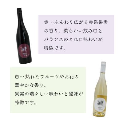 ふるさと納税 長沼町 MARO Wines ワイン 赤と白 計2本セット |  | 01