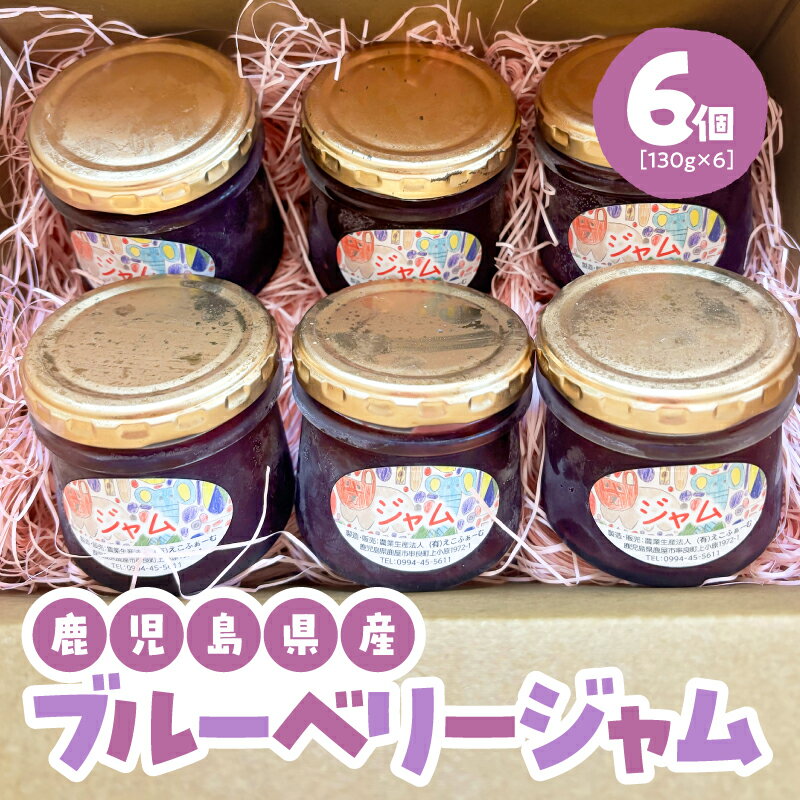 【ふるさと納税】ブルーベリー ジャム 130g×6個 無添加 甘さ控えめ 果物 フルーツ パンケーキ トースト アイスクリーム ヨーグルト 朝食 デザート お菓子作り えこふぁーむ 鹿児島 鹿屋市 おすすめ ランキング プレゼント ギフト