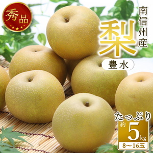 【南信州産】梨「豊水」秀品約5kg（8玉～16玉）＜2026年9月上旬より発送＞