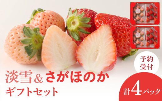 【配送時期が選べる】★予約受付★杉山いちご農園 白いちご「淡雪（あわゆき）」と「さがほのか」DX ギフトセット　2026年1月～5月までに順次配送