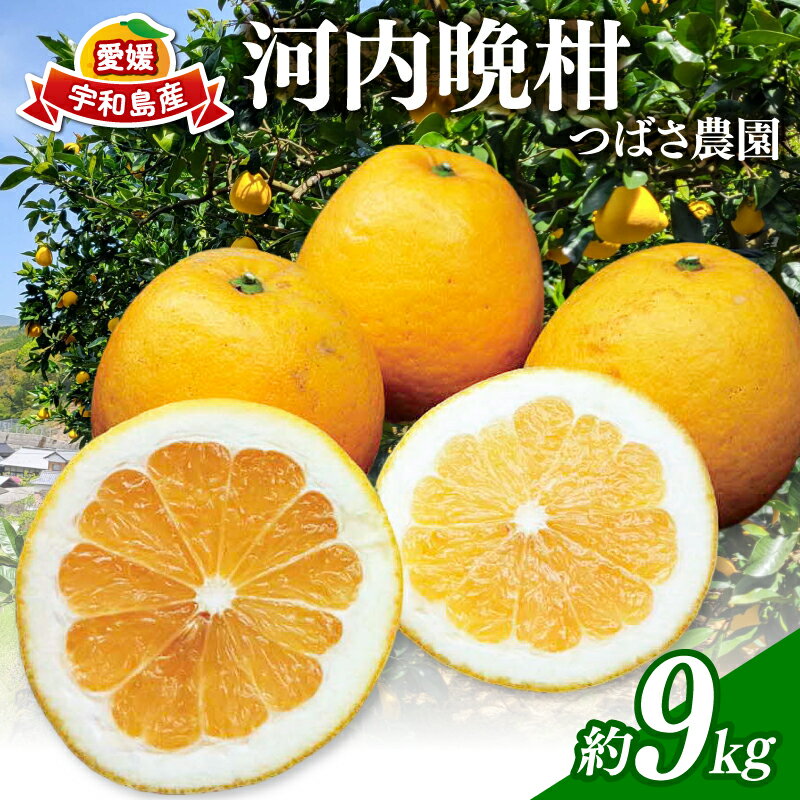 【ふるさと納税】 河内晩柑 9kg 愛媛みかん つばさ農園 先行予約 家庭用 晩柑 かわちばんかん 晩柑 和製 グレープフルーツ 愛媛蜜柑 愛媛県産 果物 くだもの フルーツ 柑橘 みかん 蜜柑 mikan産地直送 農家直送 産地直送 数量限定 国産 愛媛 宇和島 B010-048004