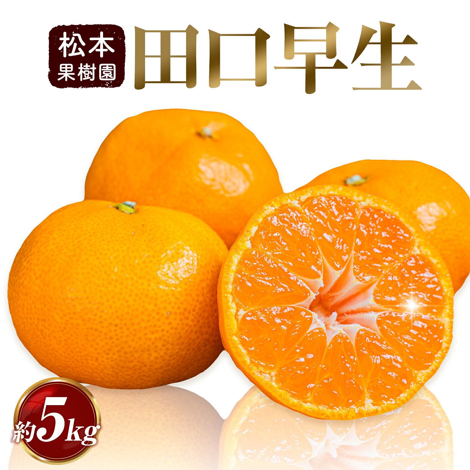 【ふるさと納税】天草産 早生みかん 田口早生 約5kg 《11月中旬-11月下旬出荷予定》果物 フルーツ みかん ミカン 蜜柑 柑橘 生産者直送 産地直送 熊本県 天草 苓北 送料無料