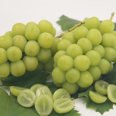 ふるさと納税 山梨市 【発送月固定定期便】フルーツ定期便全4回 |  | 03