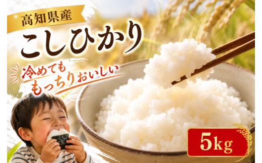 【8月～発送開始！】 令和8年産 米 こしひかり 5kg 新米 お米 白米 精米 コシヒカリ ごはん ご飯 高知県産 弁当 おにぎり 料理 高知県安芸市 早場米 甘み 粘り 人気 日本 全国 温暖 気候 美味しい 収穫 栽培 消費地 品種 おいしいご飯 農家 地元 食卓 食事 炊飯 和食 食べ物 主食 主菜 副菜 献立 食材 調理 安芸市 高知県