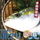 【数量限定】中山水産 手結沖養殖「勝ブリ」1匹（5kg〜6kg）- 期間限定 魚 ぶり 鰤 寒ブリ 海鮮 鮮魚 魚介類 海の幸 ギフト お刺身 煮物 焼き魚 おかず 産地直送 のし対応可 送料無料 高知県 香南市【冷蔵】