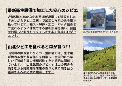 【貸切キャンプ】山北町産ジビエ肉(鹿肉)１kg付き・ペガススの家【１泊２日・５名】【 体験 チケット 旅行 キャンプ アウトドア 神奈川県 山北町 】