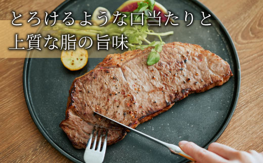 飛騨牛 ロースステーキ 400g 200g×2枚 牛肉 和牛 肉 ロース ステーキ サーロインステーキ 贅沢 霜降り 鉄板焼き 養老ミート