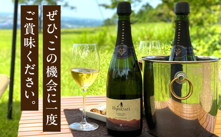 【数量限定】Hyakuzi エクストラセック カーボネイティッド(計1本) _T014-007【 酒 飲料 アルコール 国産 人気 ワイン ギフト ワイン 食品 ワイン お酒 ワイン飲み比べ ワイン 