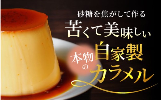 【全12回定期便】葉山ビーカープリン パーティーアソート セット 6種×2個 詰め合わせ（カスタード・かぼちゃ・抹茶・北海道フレッシュクリーム・エスプレッソ・チョコレート）プリン ぷりん スイーツ デ