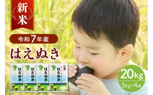 【令和7年産米】2025年10月下旬発送 はえぬき20kg（5kg×4袋）山形県産 【JAさがえ西村山】