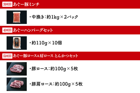 AG021　【6回定期便】あぐー豚と石垣牛の定期便C