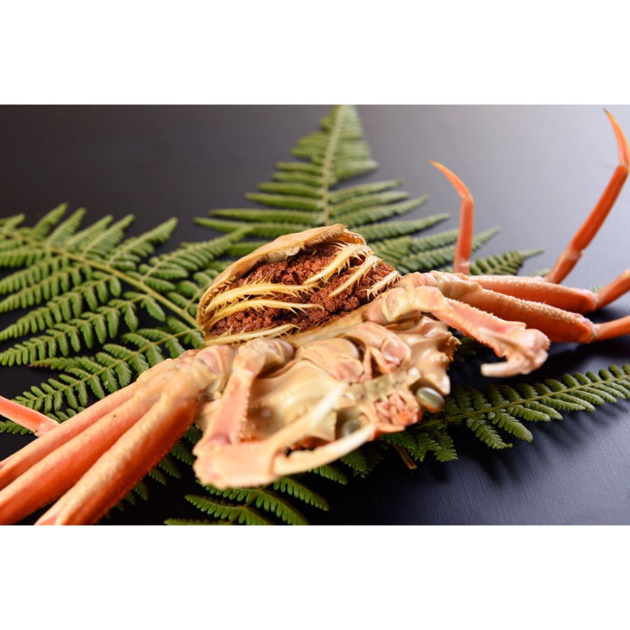 ＜北畿水産＞山陰日本海冬の味覚釜ゆでせこがに（150gサイズ/8匹入）【12月出荷分】