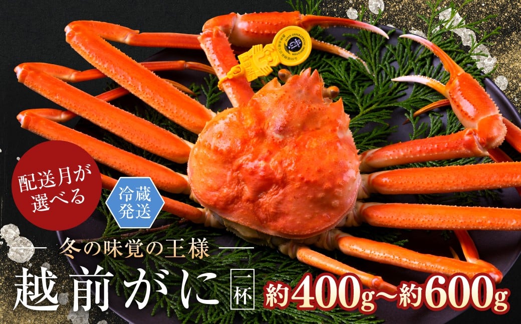 
            【月指定可】越前がに（オス）「ずわいがに」（400g～600g） 1杯
          