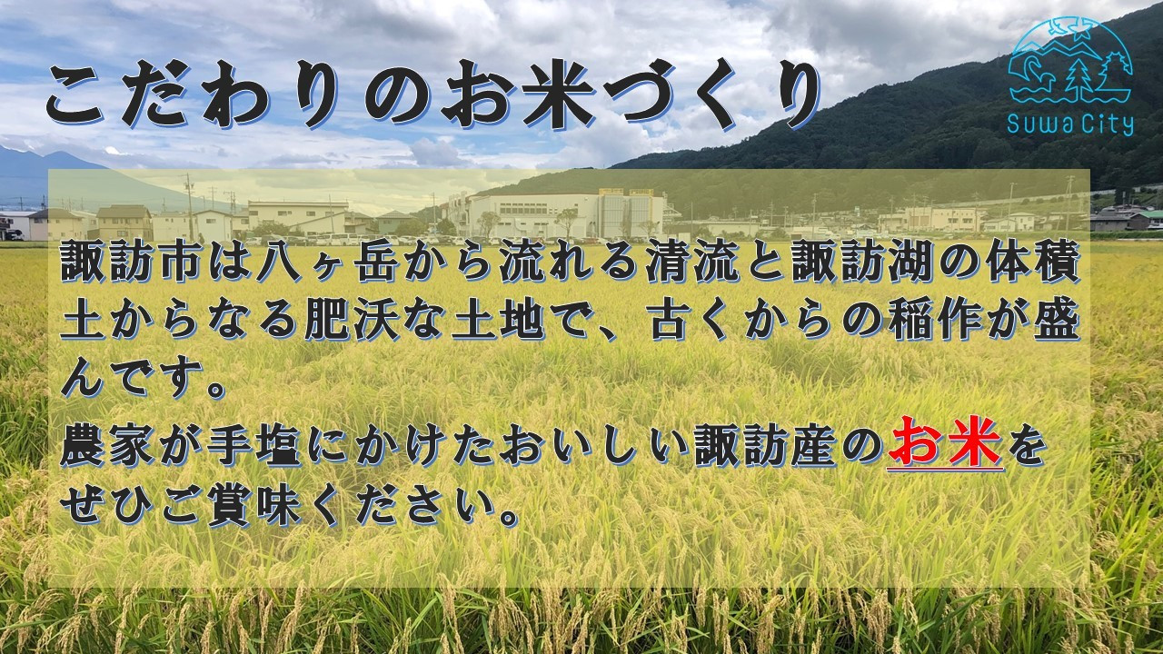 長野県諏訪産「つきあかり」10kg(10kg×1袋)