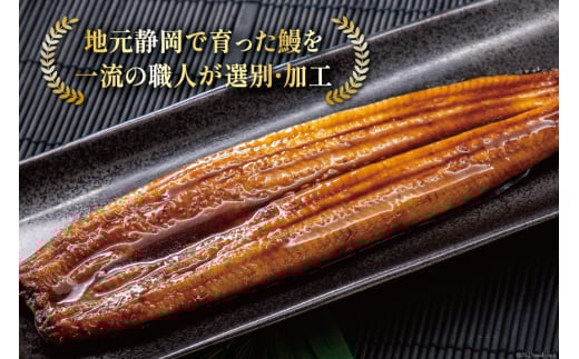 うなぎ 国産 蒲焼 160g程度×2尾 計320g以上 タレ山椒付き 真空パック 個包装 [駿河淡水 静岡県 吉田町 22424146] 静岡県産 静岡 鰻 ウナギ 蒲焼き 化粧箱