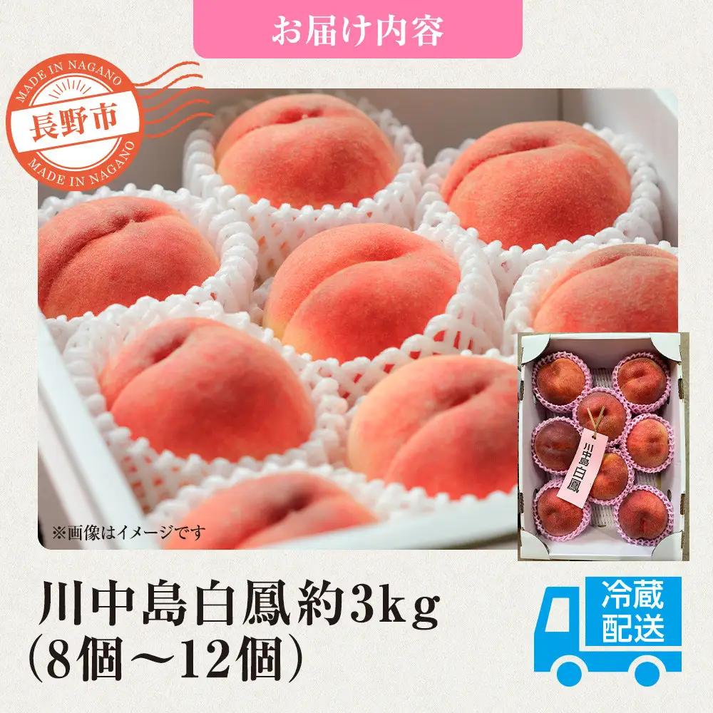 前島農家 川中島白鳳約3kg（8個～12個） | 桃 フルーツ 旬 桃