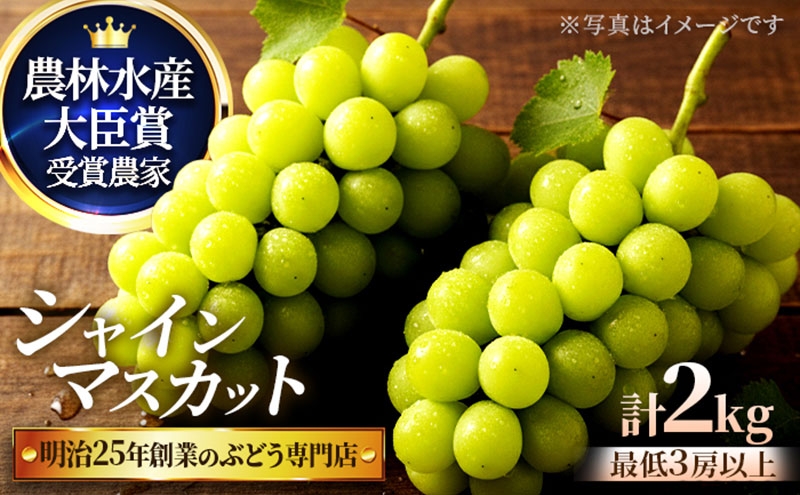 
                  直売所限定販売の数量限定シャインマスカット 2.0サイズ　7月下旬～8月上旬発送
                