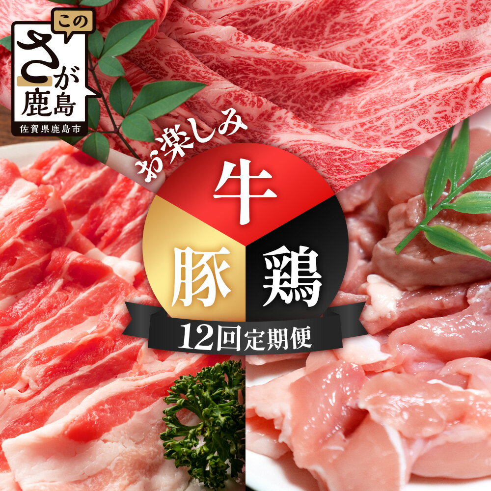 【ふるさと納税】合計9.44kg 定期便 12回 佐賀の牛・豚・鶏 お楽しみ定期便 P-12 しゃぶしゃぶ すきやき すき焼き 焼肉 焼き肉 ソテー 焼き鳥 焼鳥 からあげ 唐揚げ から揚げ 定期便 12ヵ月 12か月 12ヶ月 肩ロース ウデ モモ もも 鳥肉 とりにく 鶏肉 豚肉 牛肉 お肉 バラ
