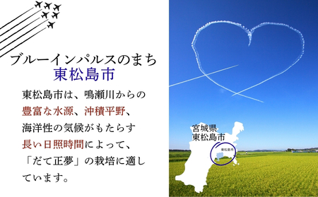 【令和7年産米受付開始！】 【新米】 宮城県産だて正夢（精米）10kg 米 ダテマサユメ 東松島市 米 精米 白米 お米 こめ JAいしのまき