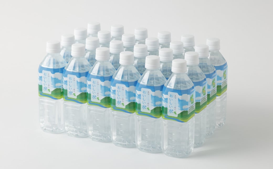 【2ヶ月定期便】大分 ここのえ育ち おいしい 水 500ml×24本 合計48本