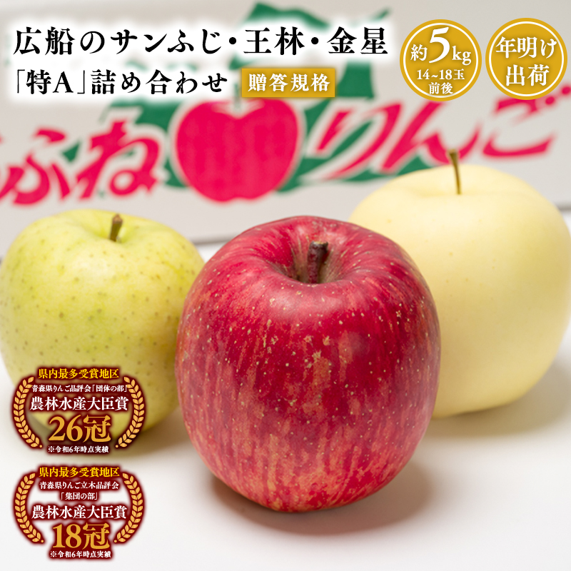 年明け 贈答規格 広船のサンふじ　王林　金星約5kg詰合せ「特A」【広船アップルクラブ　平川市広船産　青森りんご　1月　2月】