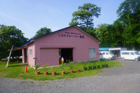 信濃町産「ブルーベリージャム」 150g×3個セット　粒が大きく味の濃いハイブッシュ系にこだわったブルーベリーのジャム【長野県信濃町／しなのブルーベリー農園】