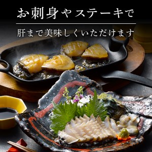 蝦夷あわび 約600g 冷凍 鮑 あわび アワビ 鮑 Abalone ステーキ 刺し身 刺身 バーベキュー  バターソテー 正月 お正月 おせち  BBQ ごはん 夕飯 おかず おつまみ 晩酌 米 丼