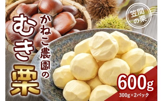 【2026年先行予約】 笠間の栗 かねこ農園のむき栗（300g×2パック） 数量限定 栗 くり クリ むき栗 国産 国産栗 和栗 果物 フルーツ ギフト プレゼント 秋 旬 おやつ 笠間 かさま 茨城県 いばらき