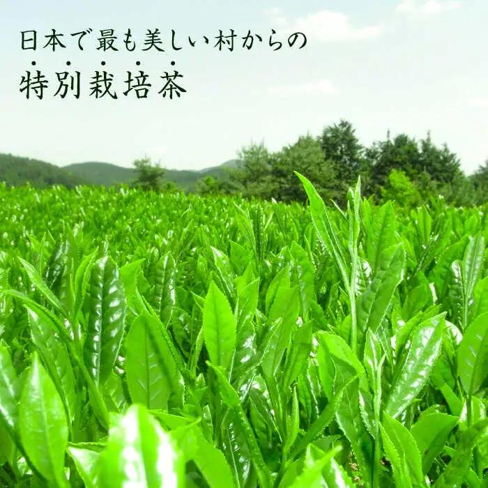 八女茶 奥八女星野村 [ABDF024] 八女茶 100g×1袋