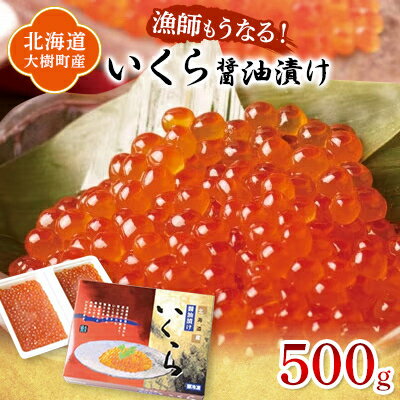 【ふるさと納税】北海道産 鮭いくら醤油漬け 計500g(250g×2パック)【漁協直送】【配送不可地域：離島】【1423870】