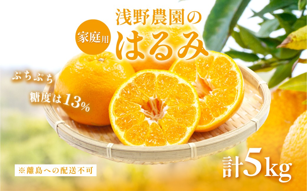 
                  【先行予約】【家庭用】はるみ計5kg※離島への配送不可（2027年2月上旬頃より順次発送予定）  【柑橘 みかん ミカン フルーツ 果物 愛媛 有名 代表 高級】 IKTAC031 
                