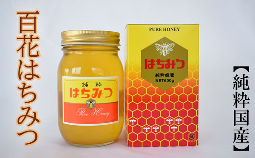 【純粋国産】和歌山県産百花はちみつ600g ※2025年7月中旬より順次発送 / 国産 はちみつ 和歌山産 天然【tec507A】