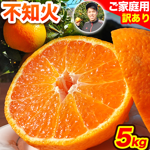不知火 訳あり 先行予約 熊本のブランド果実 不知火 約 5kg 20玉前後 デコポン と同品種 でこぽん フルーツ フルーツ みかん ミカン 柑橘 しらぬい 未来来農園 《4月上旬-4月末頃出荷》 熊本県 葦北郡 津奈木町