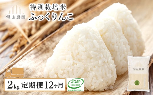 【12ヵ月定期便】特別栽培米産地直送 ふっくりんこ 2kg×12回 《帰山農園》 米 白米 北海道米 北海道産米 ブランド米 おにぎり ごはん 精米 送料無料