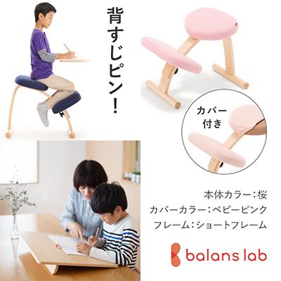 ふるさと納税 美濃市 バランスイージー ショート[桜]カバー付+イージーライティングボードM【複数個口で配送】