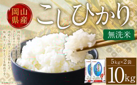 【令和6年産】 無洗米 岡山県産 こしひかり 10kg （5kg×2袋）【2025年8月下旬迄順次発送予定】 コシヒカリ 米 お米 こめ kome コメ ご飯 ごはん