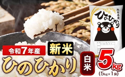 新米 令和7年産 白米 ひのひかり 5kg《10月中旬-12月末頃出荷》令和7年産 熊本県産 ふるさと納税 無洗米 白米 精米 ひの 米 こめ ふるさとのうぜい ヒノヒカリ コメ お米 おこめ