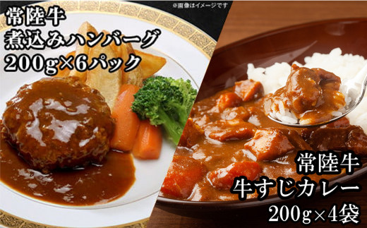 【 定期便 】【 全6回 】すずらん 「 常陸牛 」 お楽しみ定期便 （ 6ヶ月連続でお届け ）【 常陸牛 和牛 牛肉 定期便 ハンバーグ  国産 贅沢  6か月 6ヶ月 牛 肉 常陸 】[SZR]